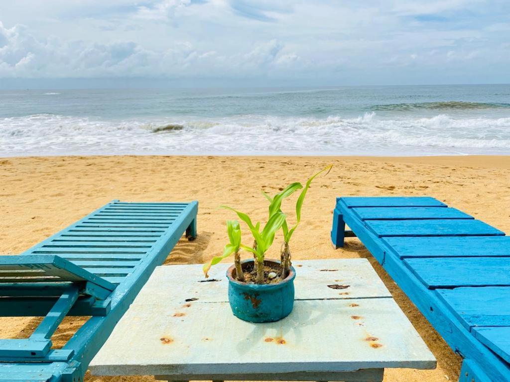 Ramya Ru Beach Home كالي المظهر الخارجي الصورة